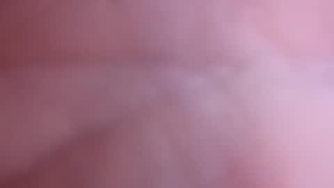 Snapshot of mark2711568331 chatting on 11/04/25, 03:33 mark2711568331 online show from 11/04/25, 03:33