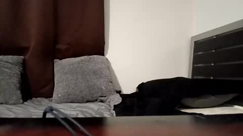 markbwcusmc online show from 01/15/26, 02:10