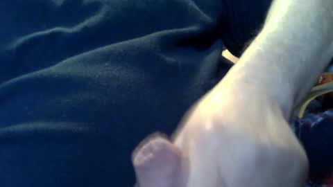 marko_th online show from 02/08/26, 11:19