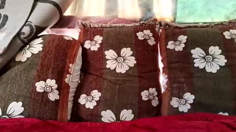 Snapshot of marocreda33 chatting on 02/10/25, 10:20 marocreda33 online show from 02/10/25, 10:20