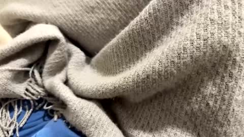 marriedthickdick37 online show from 01/12/25, 10:12