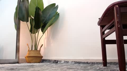 marthina thompson online show from 12/24/24, 04:08