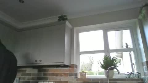 martinrgbxxxx online show from 12/15/24, 09:56