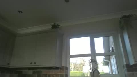 martinrgbxxxx online show from 02/23/26, 09:28