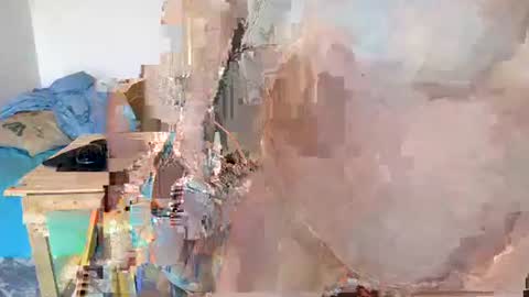 Moose online show from 01/21/25, 09:13