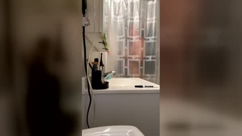 HappyZending online show from 01/17/26, 11:19