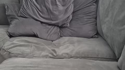 Lee online show from 09/24/25, 11:02