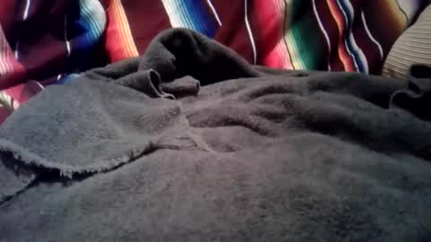 mastrdebator online show from 12/01/25, 03:33