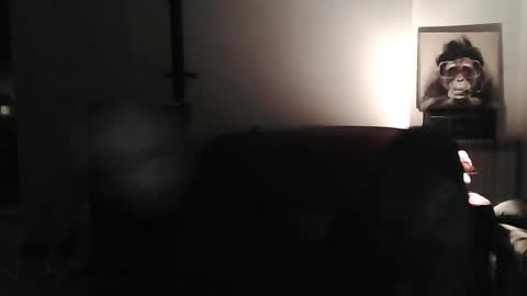 mat11efou online show from 03/08/25, 07:20