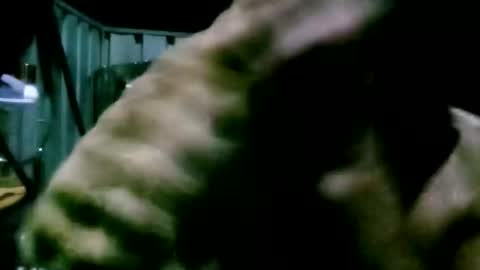 mattlesnake_101 online show from 04/18/26, 05:50