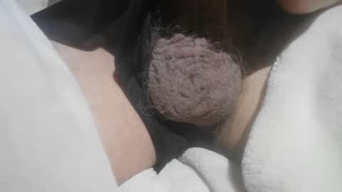 Hairy Bud online show from 05/15/26, 06:04