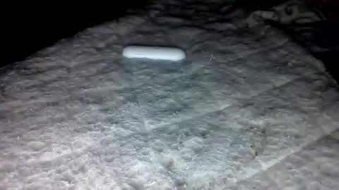 mauricescott online show from 02/03/26, 06:22