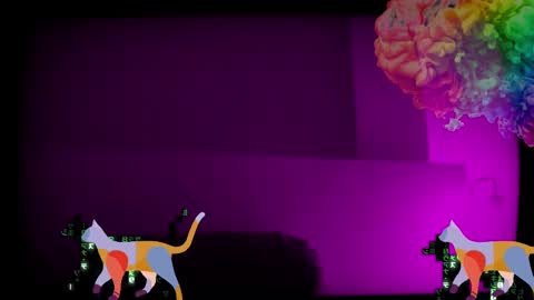 Snapshot of max_original chatting on 01/28/25, 04:08 Future Max online show from 01/28/25, 04:08