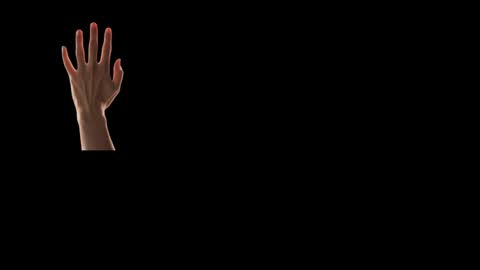 Snapshot of max_original chatting on 02/24/25, 04:26 Future Max online show from 02/24/25, 04:26