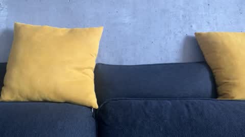    online show from 12/20/25, 06:09