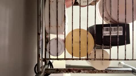 Max online show from 10/14/25, 07:36