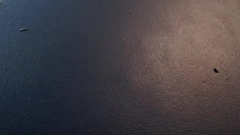 Snapshot of maxwellandpam chatting on 01/29/25, 05:09 Max and Pam Voyeur Cam online show from 01/29/25, 05:09