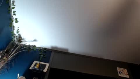 Snapshot of maxwellandpam chatting on 02/16/25, 07:48 Max and Pam Voyeur Cam online show from 02/16/25, 07:48