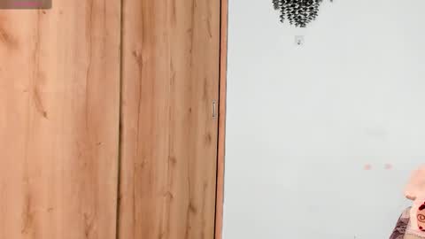 Snapshot of maya__fox chatting on 02/19/25, 01:29 OF mayitta19 online show from 02/19/25, 01:29