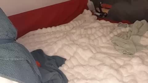 Snapshot of maybeanal chatting on 10/12/25, 05:06 maybeanal online show from 10/12/25, 05:06