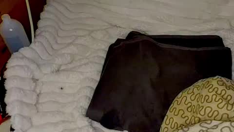 Snapshot of maybeanal chatting on 10/30/25, 02:02 maybeanal online show from 10/30/25, 02:02