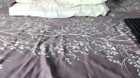 Maybelline69 online show from 02/06/26, 08:45