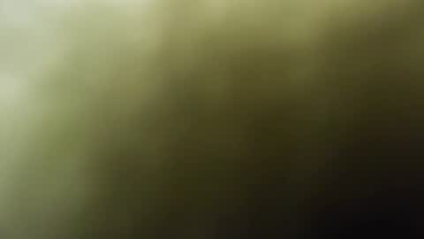 Snapshot of maylee_x chatting on 02/15/25, 12:01 maylee_x online show from 02/15/25, 12:01