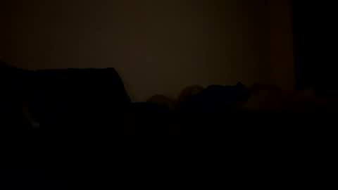 Snapshot of mb99667788 chatting on 02/24/26, 03:15 mb99667788 online show from 02/24/26, 03:15