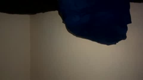 Snapshot of mb99667788 chatting on 03/21/26, 10:46 mb99667788 online show from 03/21/26, 10:46