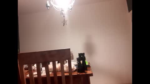 mccock16cm online show from 02/16/25, 03:47