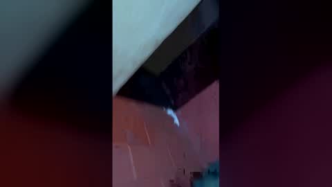 mckrns online show from 03/30/26, 10:16