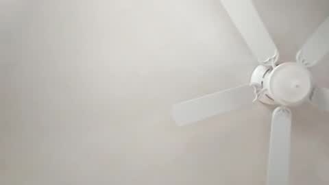 Snapshot of mcwire4 chatting on 01/01/25, 05:44 mcwire4 online show from 01/01/25, 05:44