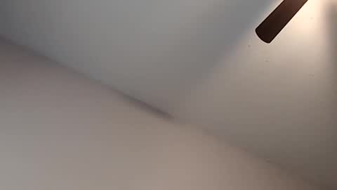 Snapshot of meanfinger chatting on 02/13/26, 03:30 Jizzy online show from 02/13/26, 03:30