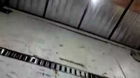 Bruh online show from 05/05/26, 04:09