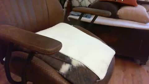 medfirebear online show from 11/28/25, 05:59