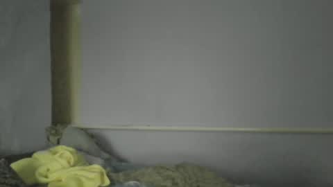 Oltereodora-lima online show from 12/30/24, 01:14