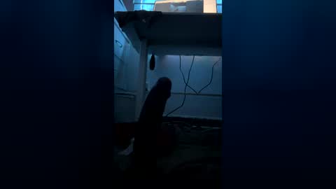 meep08 online show from 07/09/26, 08:07