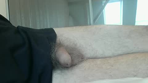 meforu21 online show from 12/21/24, 08:18