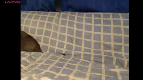 Meg4n Miauuuu online show from 02/19/25, 02:01