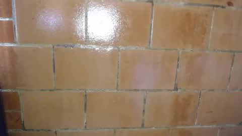 Megan and sophi online show from 04/09/26, 08:25