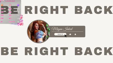    online show from 01/11/26, 02:27