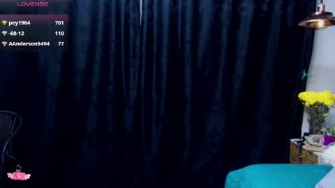 Snapshot of meganadriels96 chatting on 12/31/24, 03:09 M E G A N online show from 12/31/24, 03:09