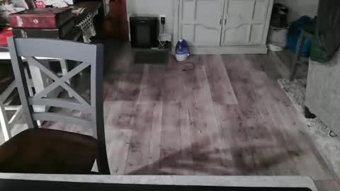 Snapshot of meganfitzy chatting on 02/26/25, 12:27 GlamTransGoddess online show from 02/26/25, 12:27