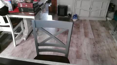 Snapshot of meganfitzy chatting on 03/03/25, 12:15 GlamTransGoddess online show from 03/03/25, 12:15