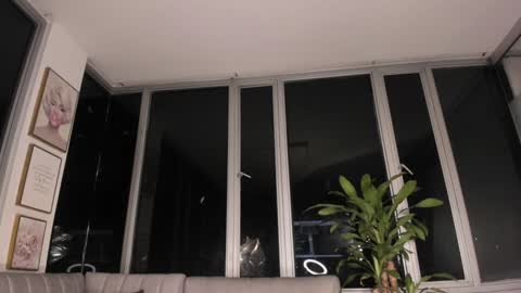 Snapshot of megann__sweet chatting on 01/31/25, 10:42 Mara online show from 01/31/25, 10:42