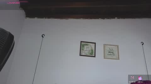 Snapshot of meghan_taylor__ chatting on 11/01/25, 08:22 Meghan online show from 11/01/25, 08:22