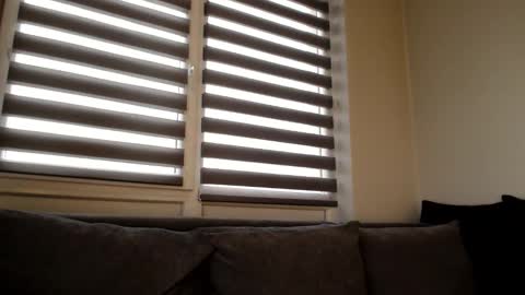 Melania online show from 12/21/24, 12:38