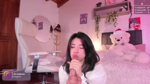 Snapshot of melanie_owo chatting on 12/10/24, 04:17 Melanie online show from 12/10/24, 04:17