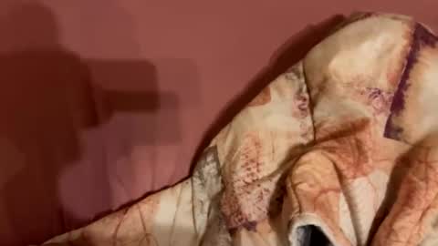 melissa9040 online show from 02/09/26, 11:20