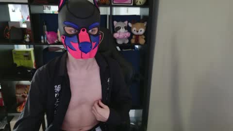 MellPUP online show from 04/01/26, 04:26
